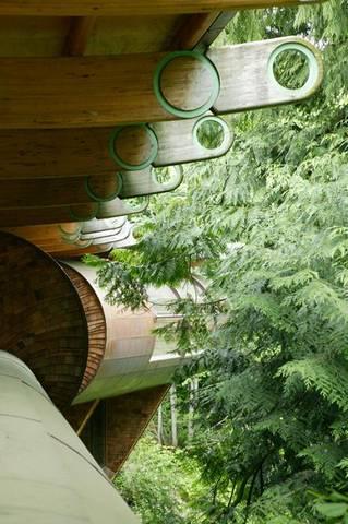 Kiến trúc nhà gỗ tuyệt đẹp nằm giữa rừng cây